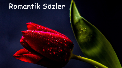 Romantik Sözler