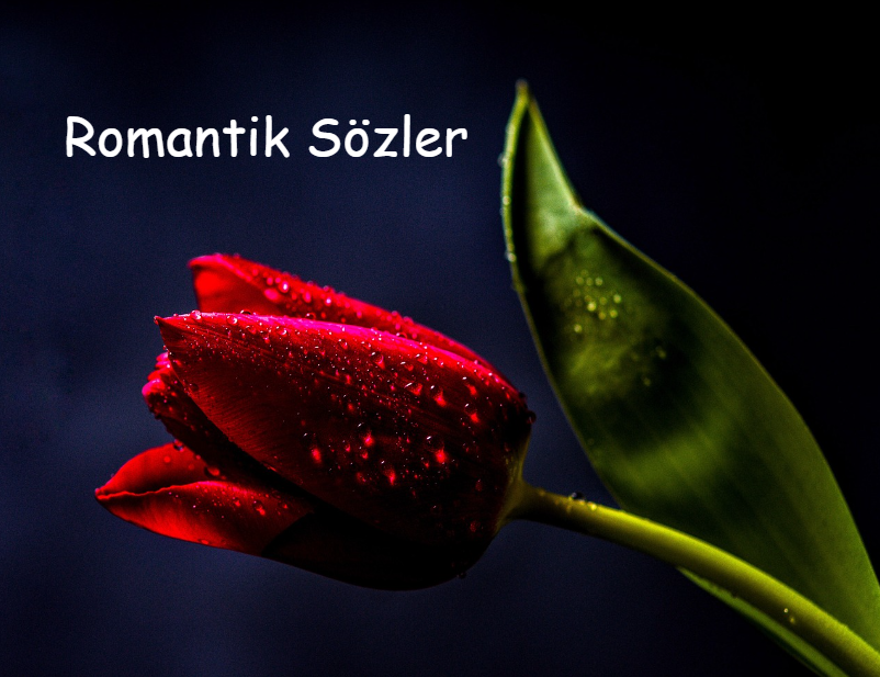 Romantik Sözler