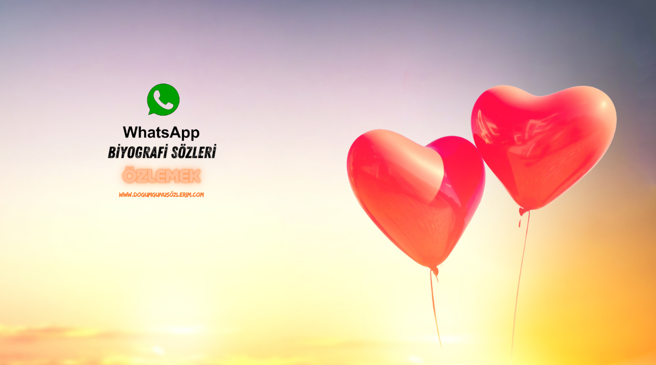 Whatsapp Biyografi Sözleri Özlemek